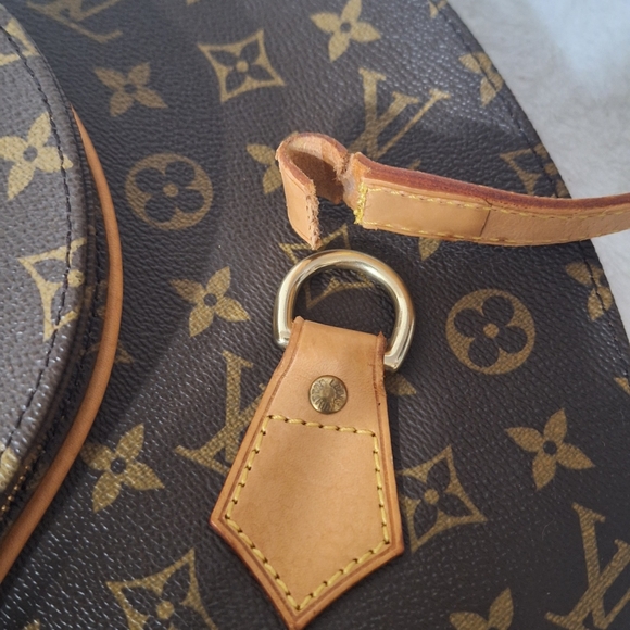 Louis Vuitton Monogram Canvas Ellipse GM Shopper Tote Bag - Picture 12 of 16